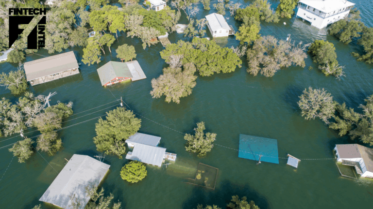 Climate X appoints VP to help it scale