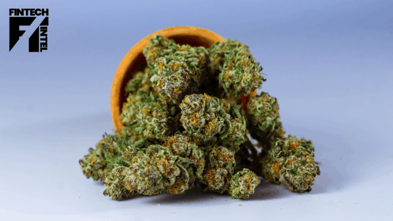 Cannabis banking tech provider Green Check raises $6m