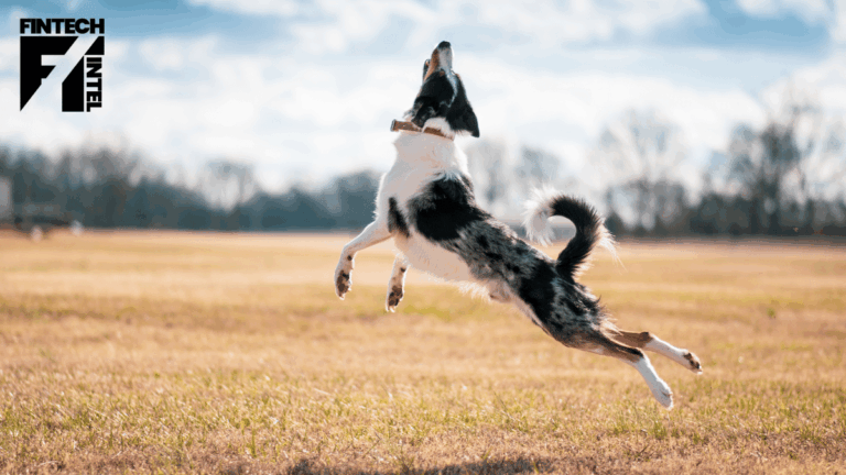 Insurtech Waggel partners with Vet-AI to extend benefits of digital veterinary care