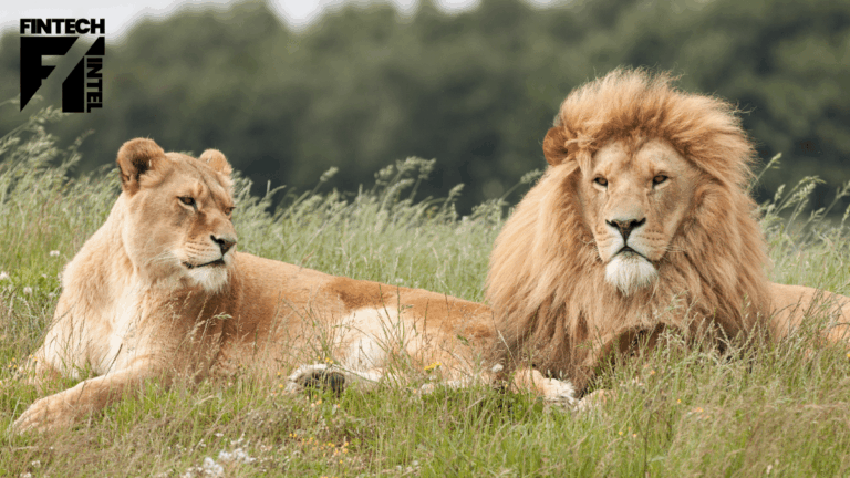 Akoni Hub Planet Saver account to support green projects