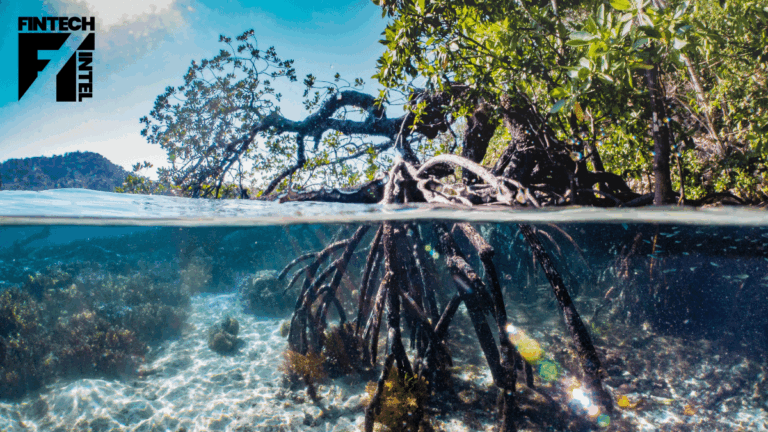 Thunes to plant one tree for every 5,000 transactions