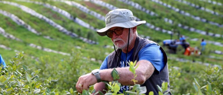 TBC exceeds its 2023 target for sustainable financing