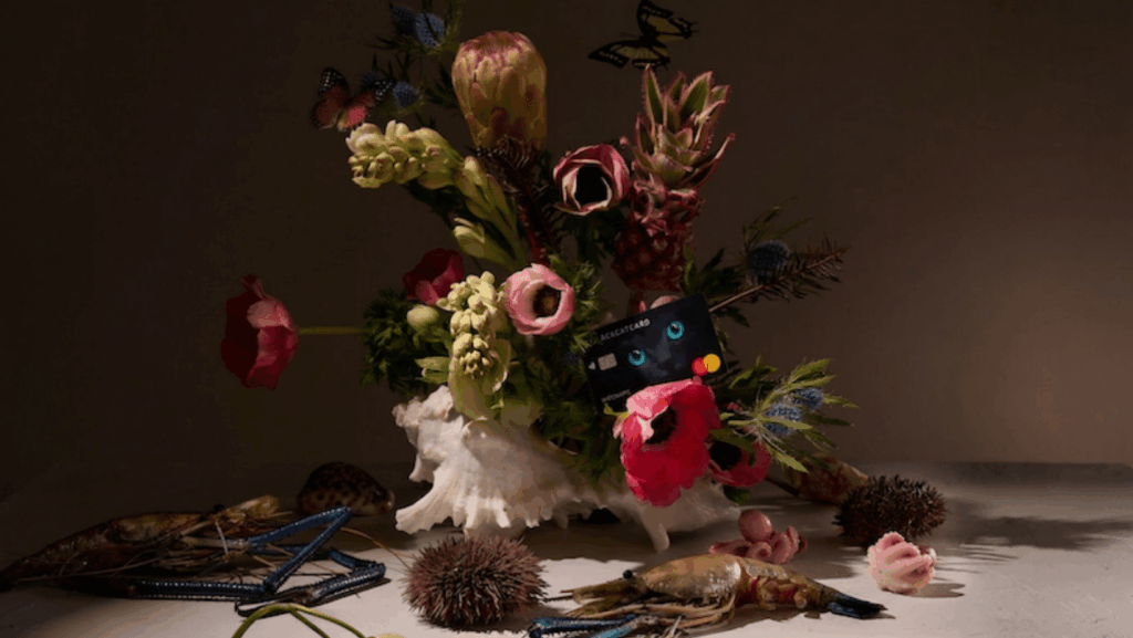 European fintech Blackcat launches multi-wallet app combining euro and crypto accounts, completing rebrand