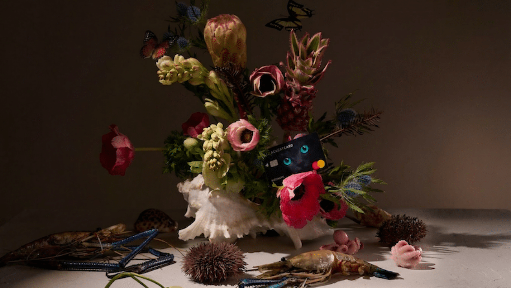 European fintech Blackcat launches multi-wallet app combining euro and crypto accounts, completing rebrand